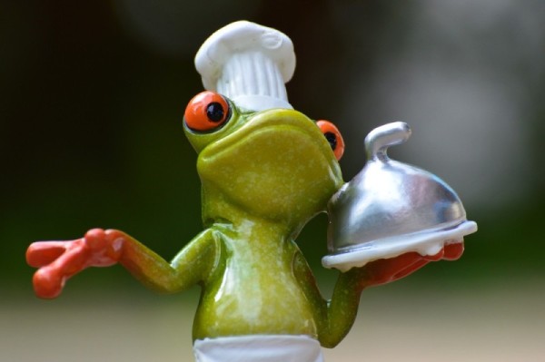 chef tree frog bringing the food and sharing the keto recipes